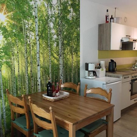 Schwarzwaldglueck Apartamento Schluchsee Exterior foto