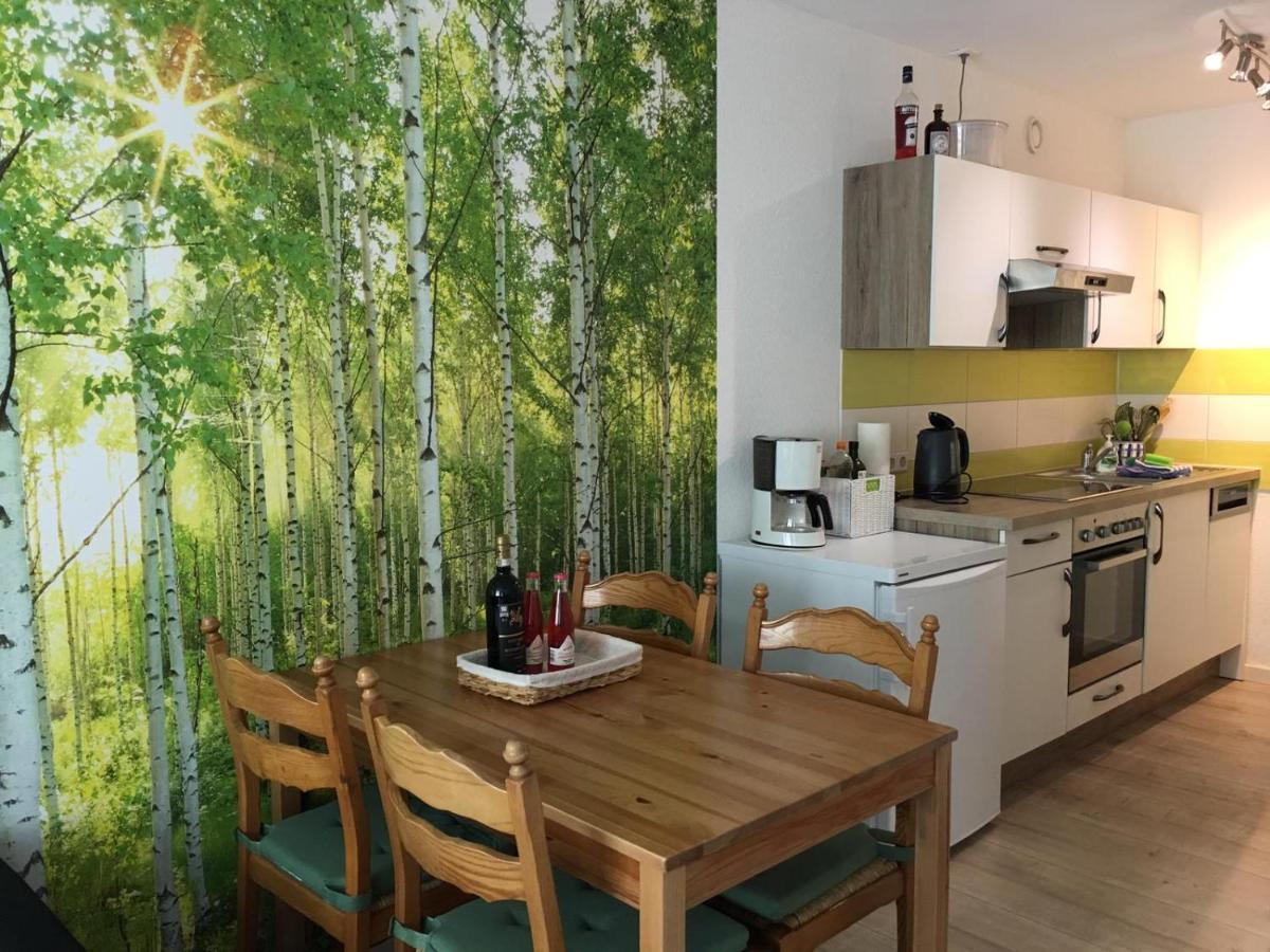 Schwarzwaldglueck Apartamento Schluchsee Exterior foto