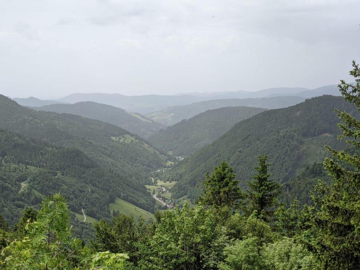Schwarzwaldglueck Apartamento Schluchsee Exterior foto